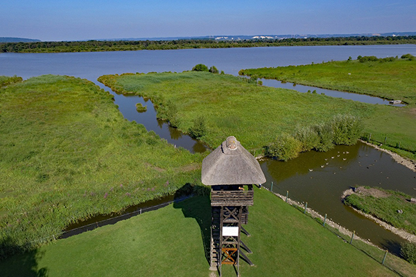 Nature reserve