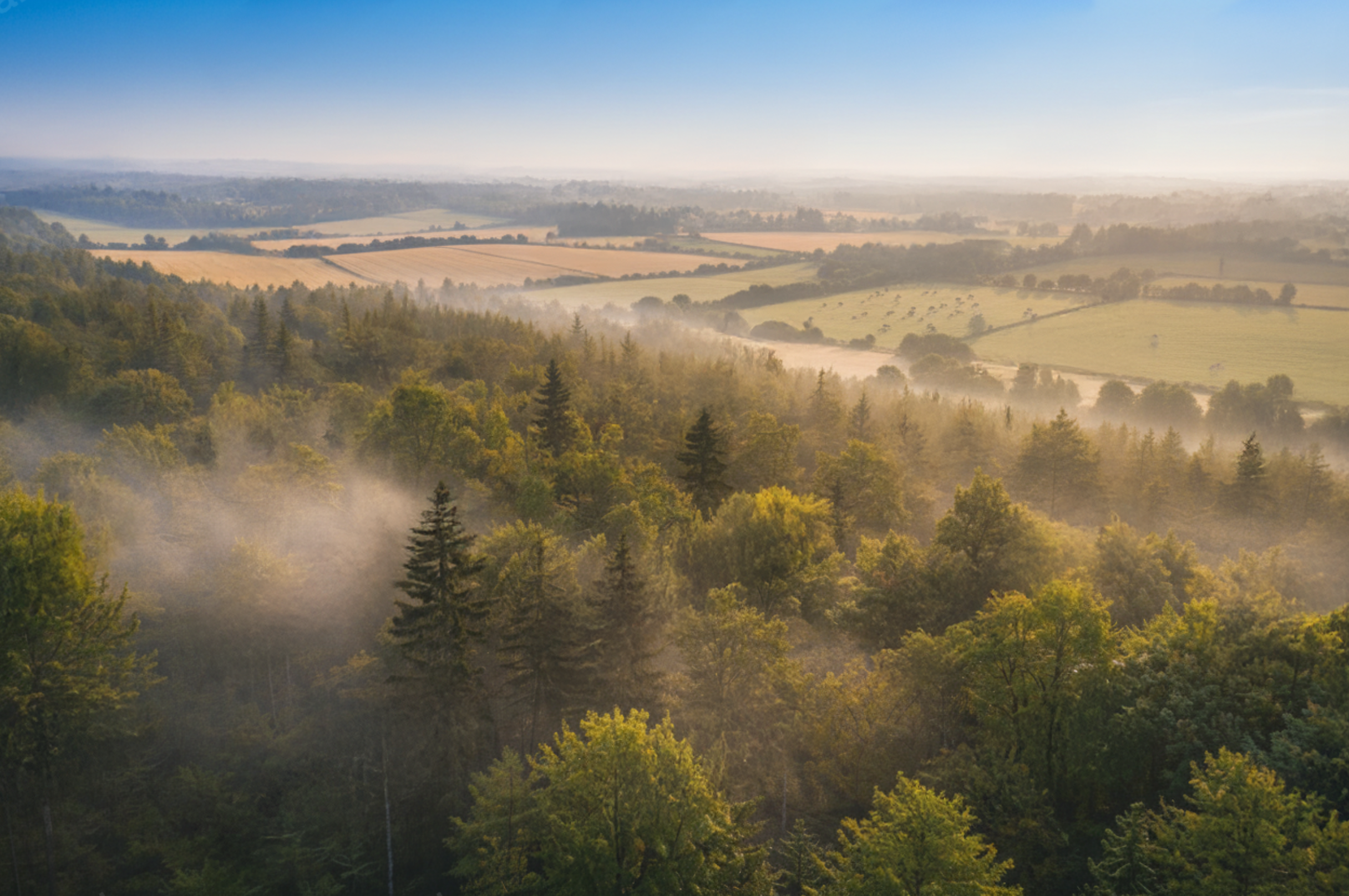 <p>Comfort in the heart of nature</p>