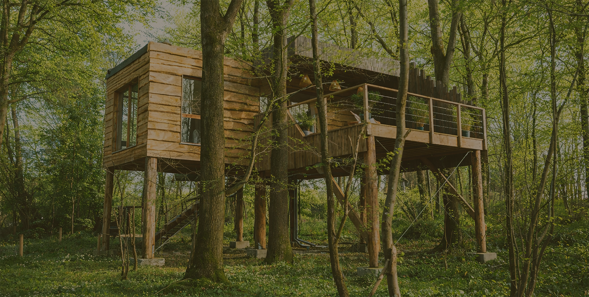 The Lodge